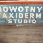 nowotnys