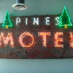pines